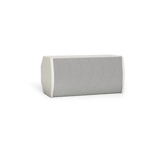 Bose ArenaMatch Utility AMU108 outdoor speaker in white, angled front view with perforated grille