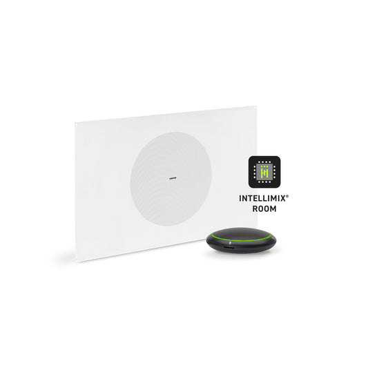 Shure Microflex Ecosystem 310M AV Conferencing Bundle | Color: Black
