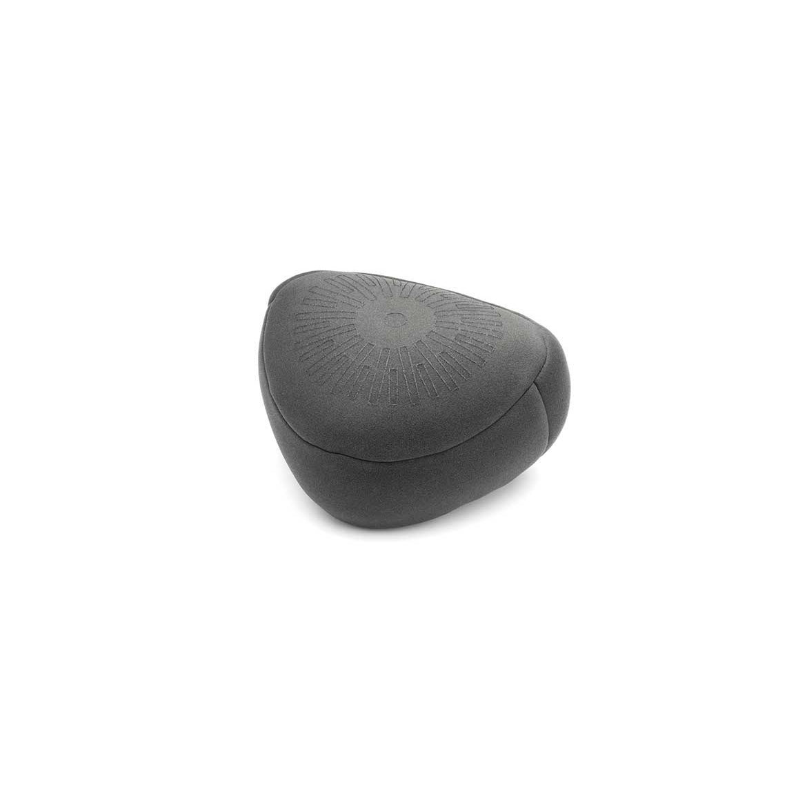 DPA Microphones 5100 Mobile Surround Microphone