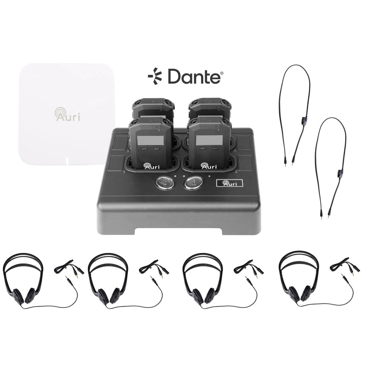 209087_Listen-Technologies-LAS-04-DW-A1-Auri-ADA-Compliance-Auracast-System_ALT01sqr