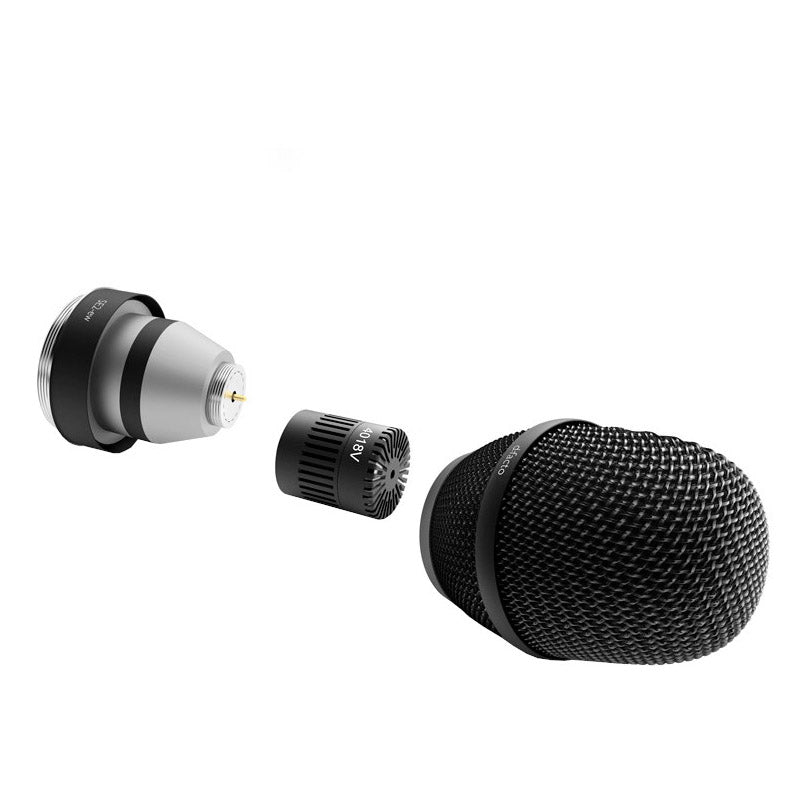 DPA D:facto 4018V Softboost Supercardioid Mic With SE2-ew Adapter In Black