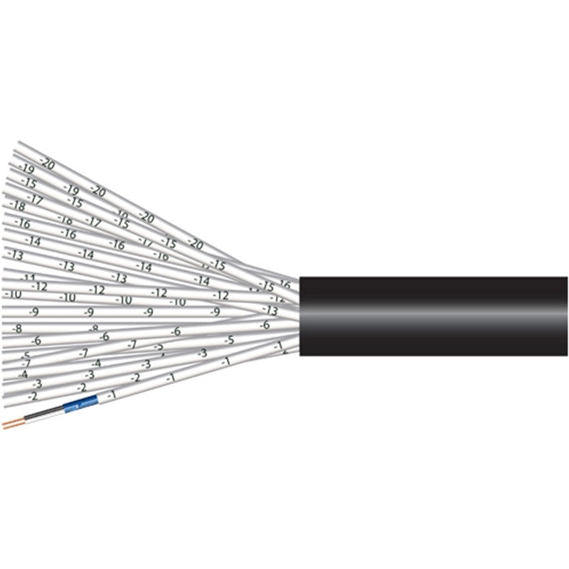 RapcoHorizon IJIS Multipair Cable | 2 Channel