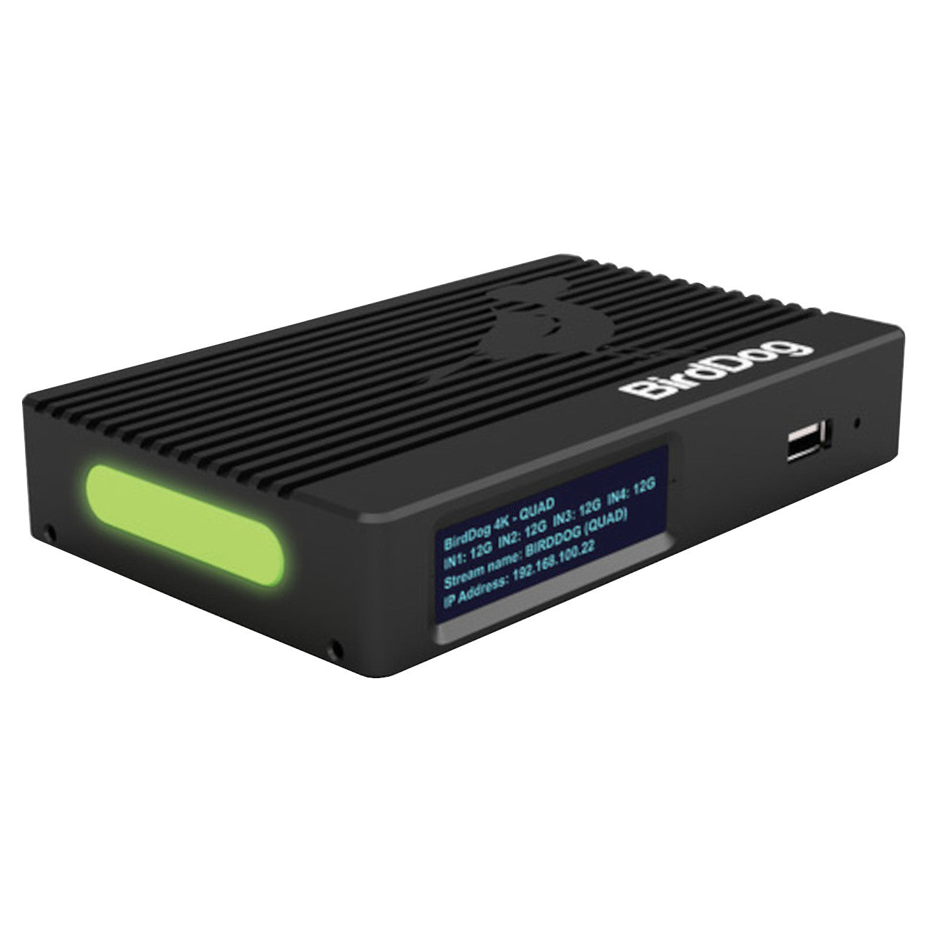 BirdDog 4K QUAD Four channels SDI NDI Encoder/Decoder