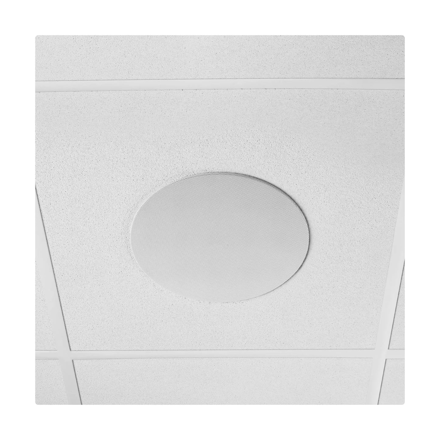 54222_Shure-MXN5W-C-Networked-PoE-Ceiling-Speaker-for-AV-Conferencing_ALT06sqr
