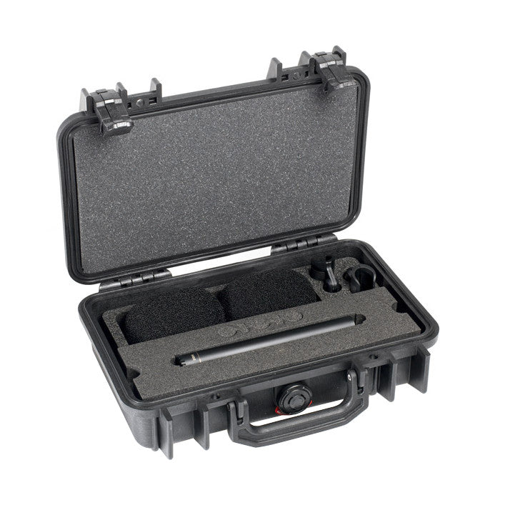 DPA ST2011A Stereo Pair with Case
