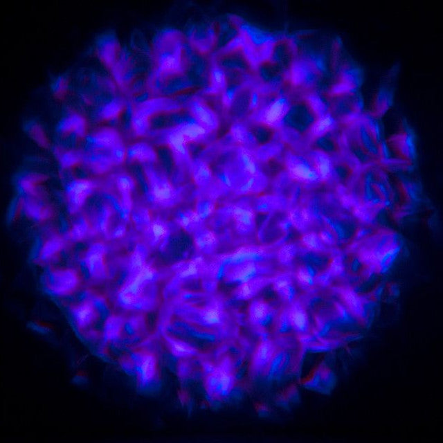 Eliminator Lighting Aqua LED 2 Water Effect lifestyle 5