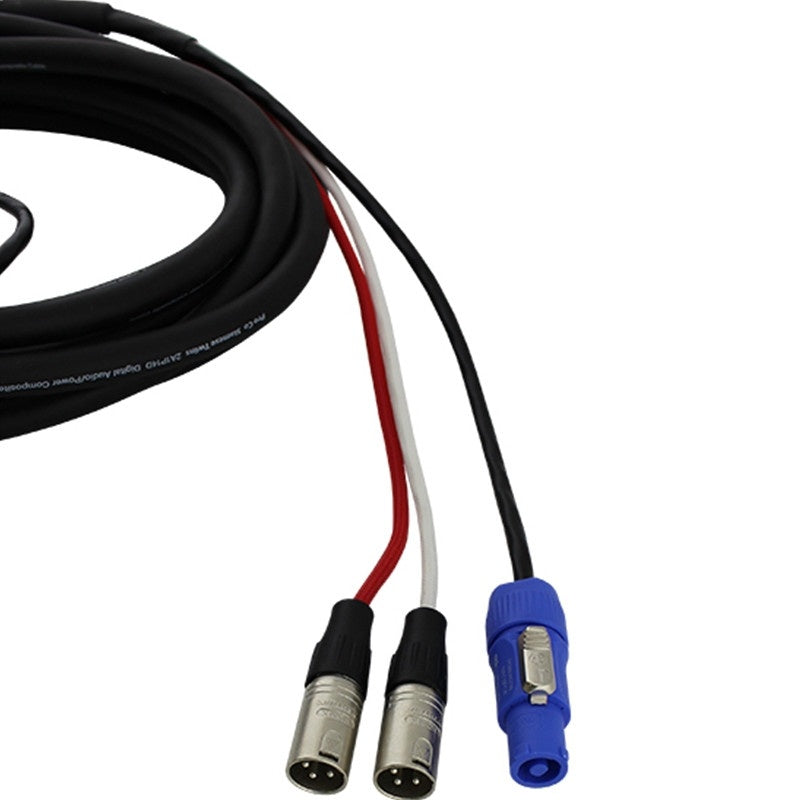ProCo Sound EC5 Siamese Twin Audio/Power Cable | 10 ft