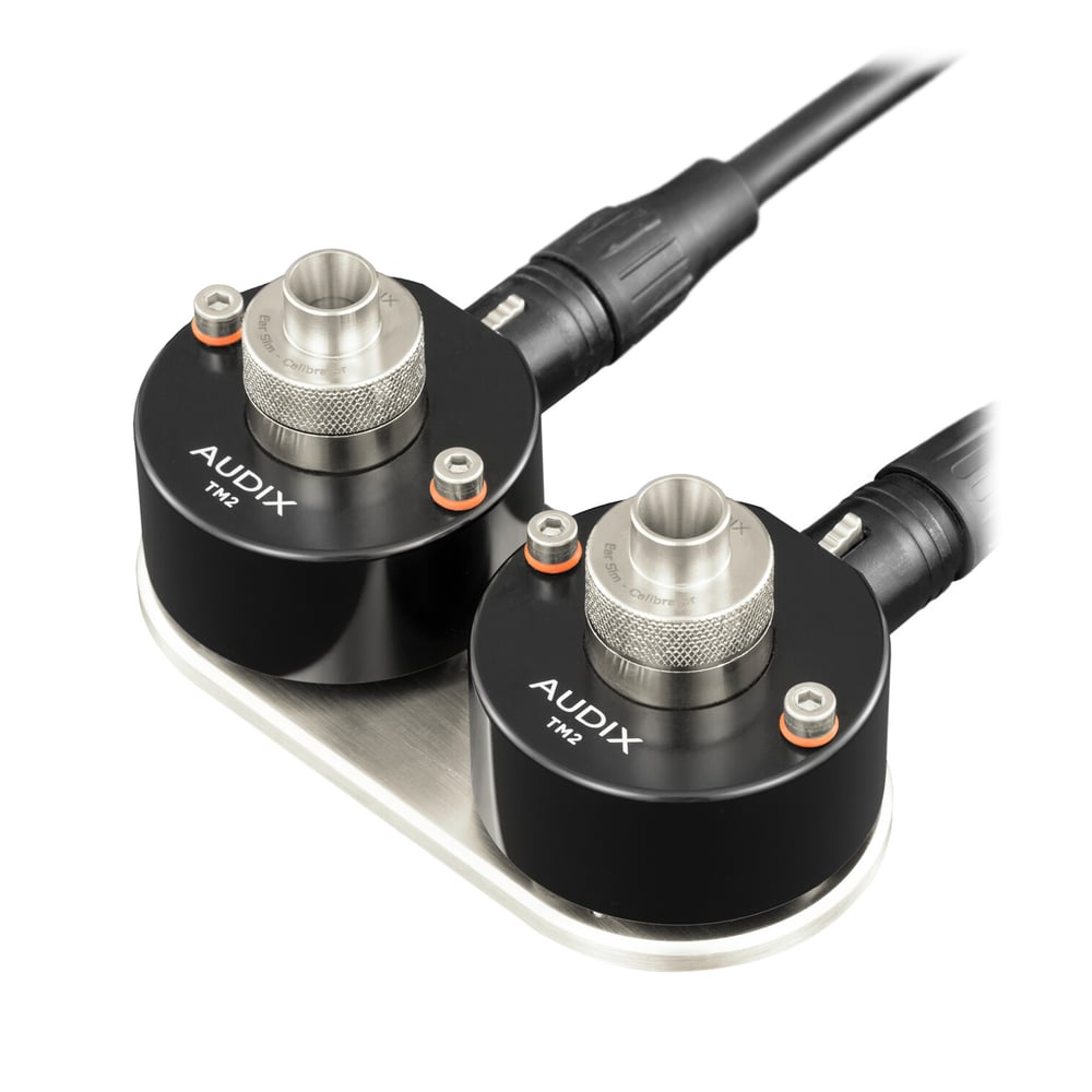Audix TM2SP Tm2 Stereo Pair With Mounting Base