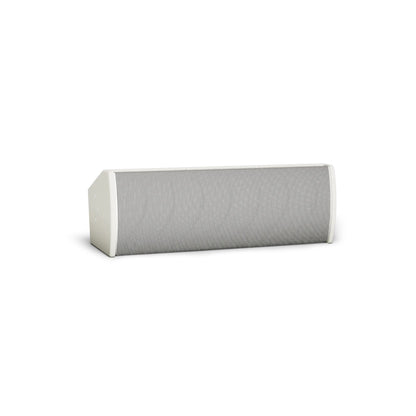 Bose ArenaMatch Utility AMU206 outdoor speaker in white, horizontal front view with perforated grille