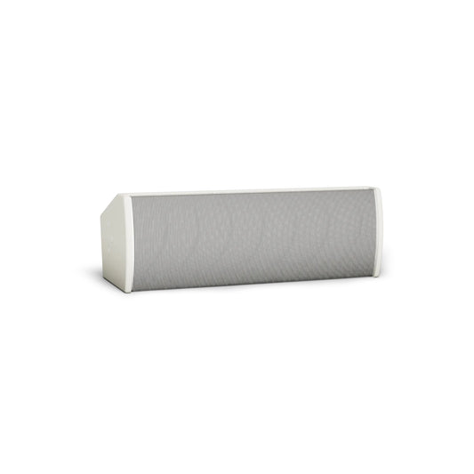 Bose ArenaMatch Utility AMU206 outdoor speaker in white, horizontal front view with perforated grille