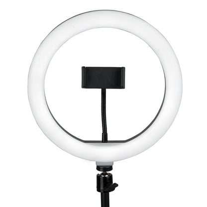 Gator Frameworks GFW-RINGLIGHTDSKTP Ring Light Desktop Stand w/Phone Clamp closeup