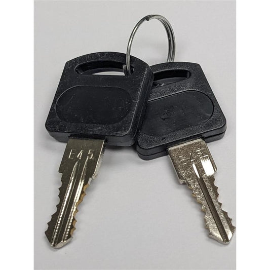 AtlasIED WTSD-COVER-KEY replacement security keys, pair of black-head keys on a split ring