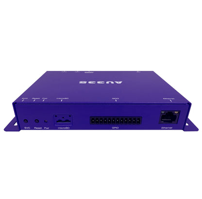 Brightsign AU335 Audio Only Player back