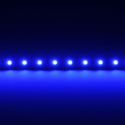 QolorFLEX 5050 RGB LED tape illuminated in blue with visible ETL-listed circuit board markings, City Theatrical