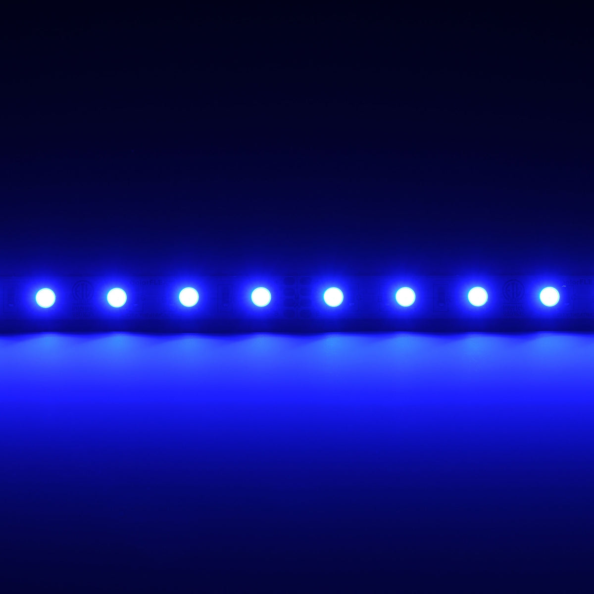 QolorFLEX 5050 24V LED tape lit in saturated blue with uniform emitter spacing, City Theatrical