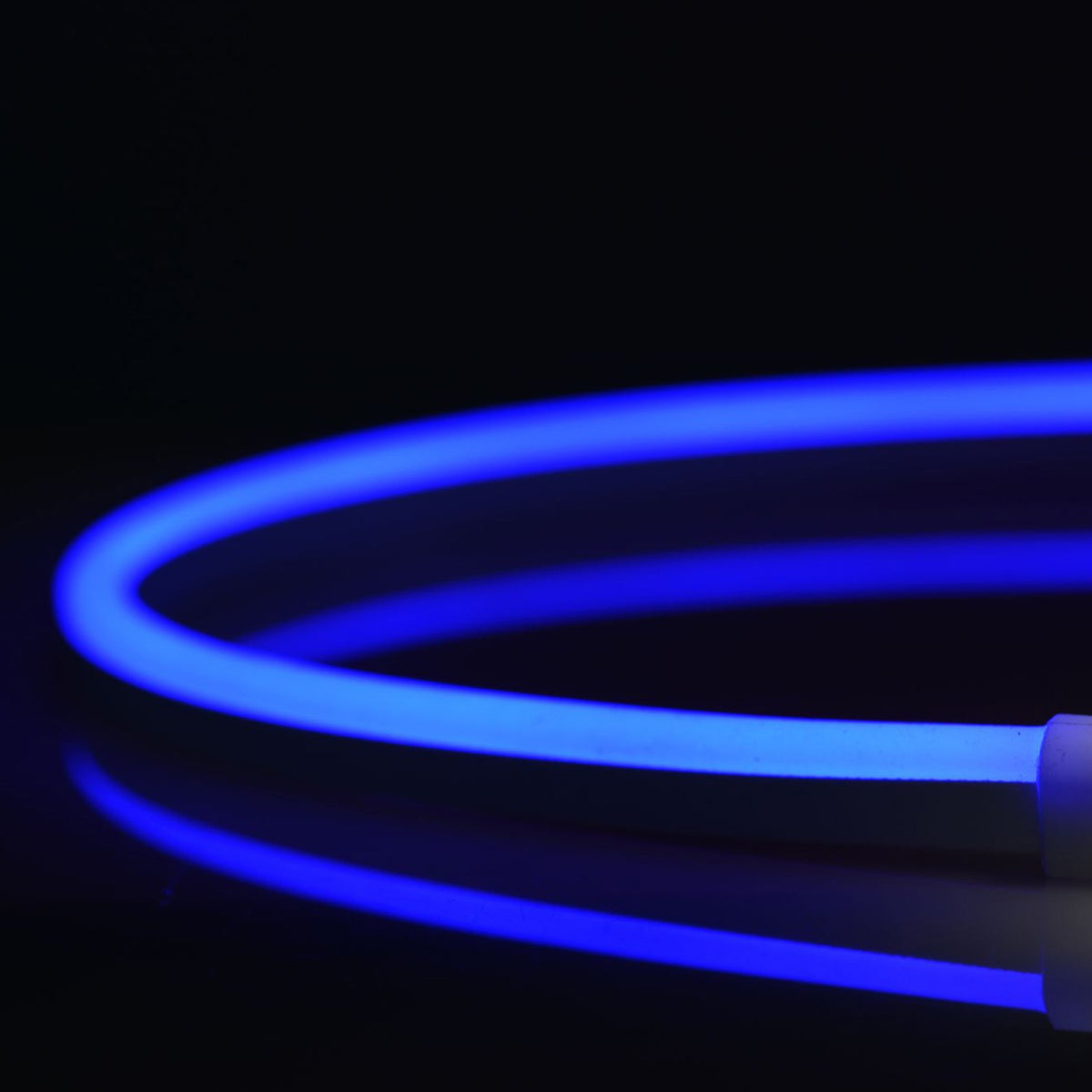 N914-B-10 QolorFLEX NuNeon coiled and illuminated blue on a black reflective surface, showing seamless silicone diffusion and white end cap, City Theatrical