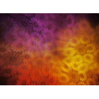 Image Multiplexer 1450 projection sample showing repeated purple, orange and red breakup pattern, City Theatrical