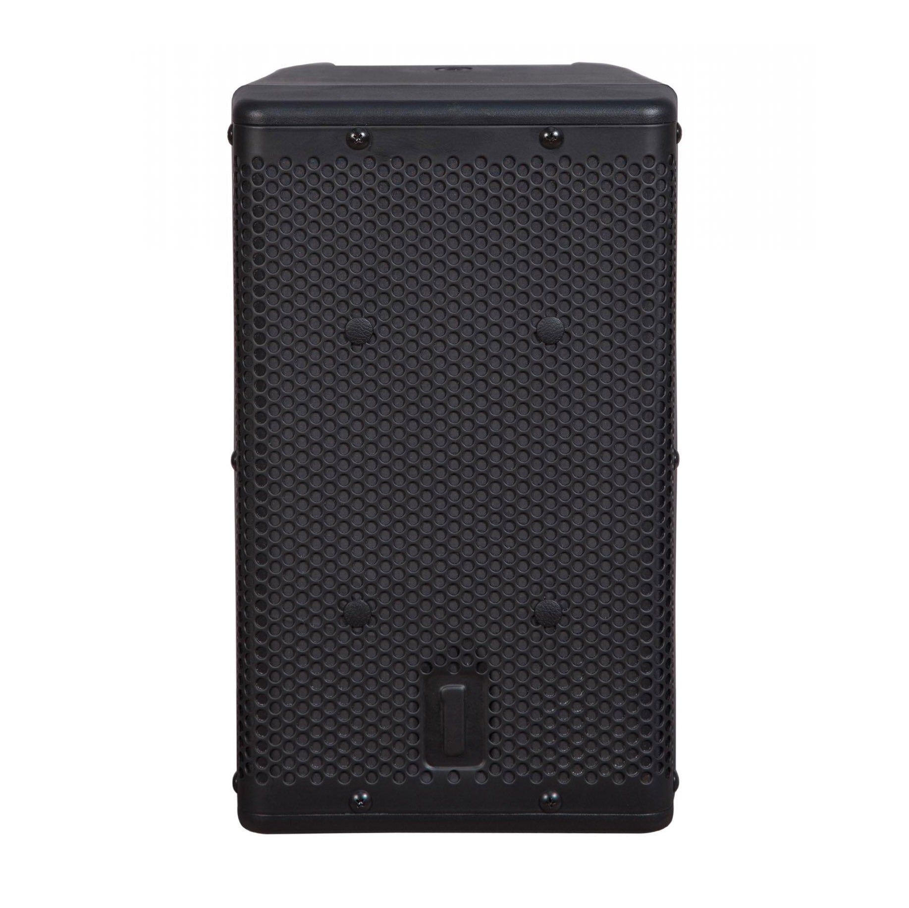 One Systems 106.HTH Platinum Hybrid Series Speaker front