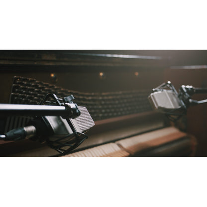 sE Electronics T2 Multi-Pattern Condenser Microphones (Matched Pair) lifestyle