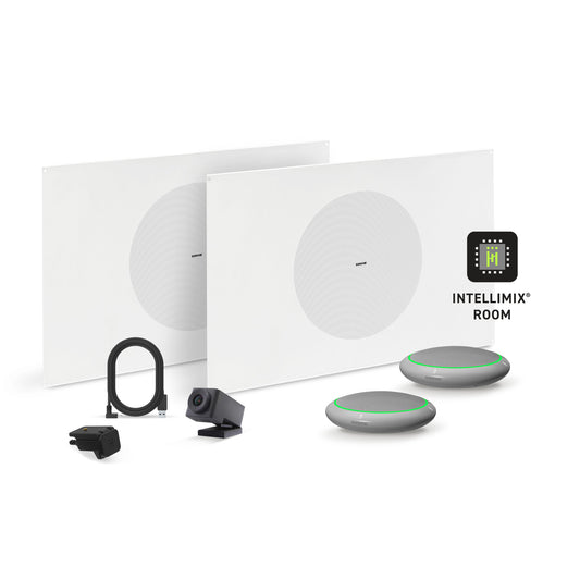Shure Microflex Ecosystem 310L + Huddly Cam AV Conferencing Bundle aluminum