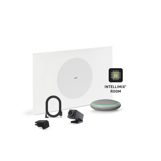 Shure Microflex Ecosystem 310M + Huddly Cam AV Conferencing Bundle | Color: Aluminum