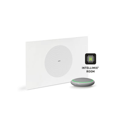 Shure Microflex Ecosystem 310M AV Conferencing Bundle | Color: Aluminum