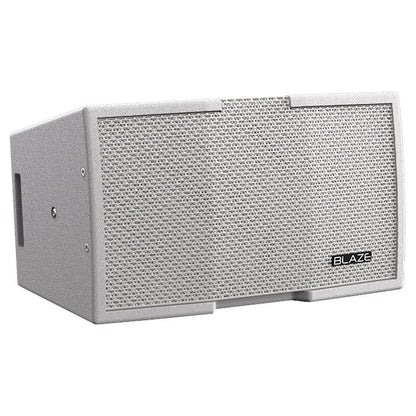 Blaze Audio CBL523 2x5-Inch 160W Passive Point Source Speaker
