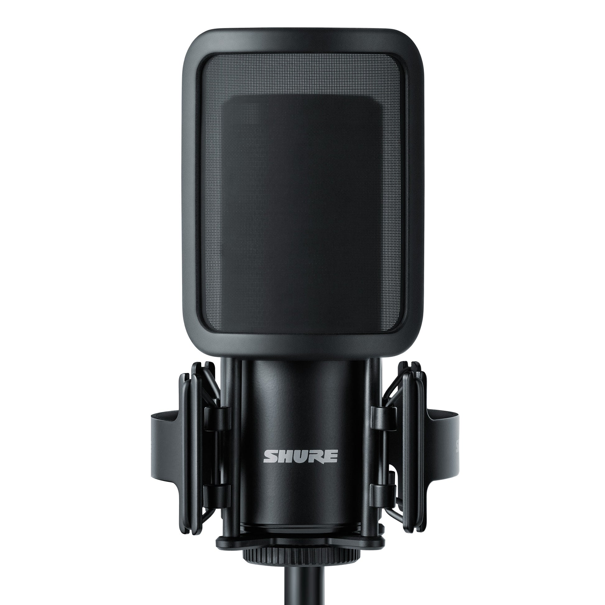 Shure SM4 with pop filter