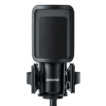 Shure SM4 with pop filter