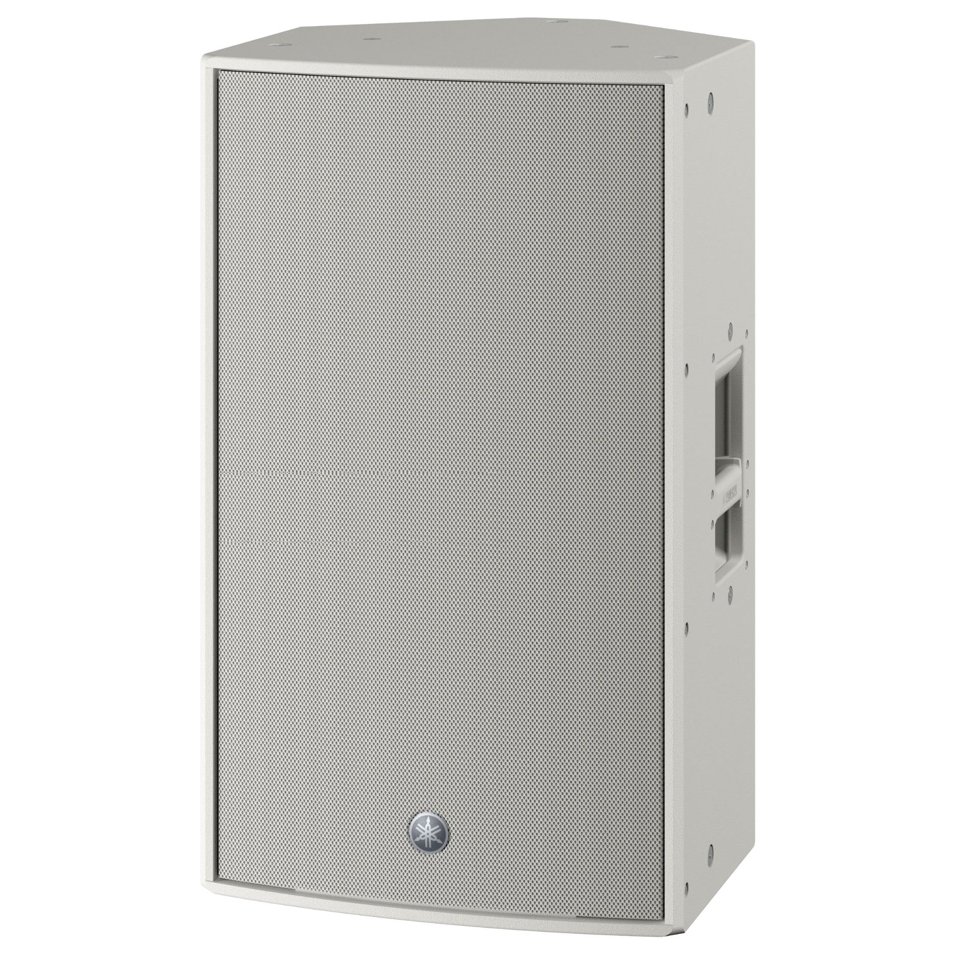 Yamaha CZR15 15-Inch Passive Speaker