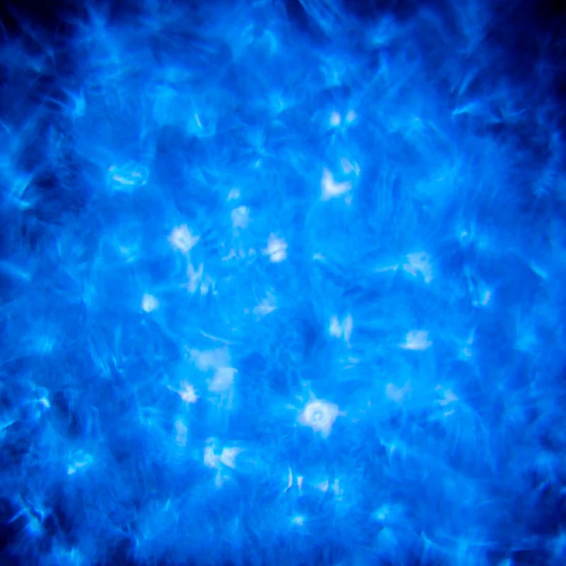 147169_ADJ-H2O-Two-Water-Effect-LED-Wash-Fixture-With-DMX-Control_ALT13sqr