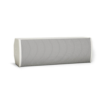 Bose AMU208-120 ArenaMatch Utility 60° x 120° Loudspeaker | White