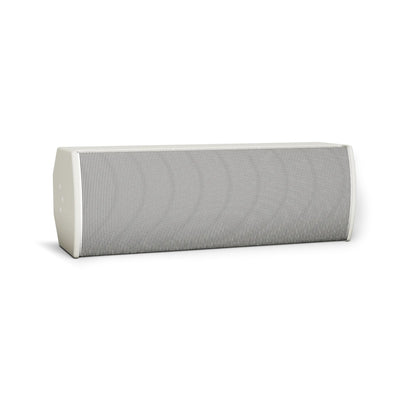 Bose AMU208-120 ArenaMatch Utility 60° x 120° Loudspeaker
