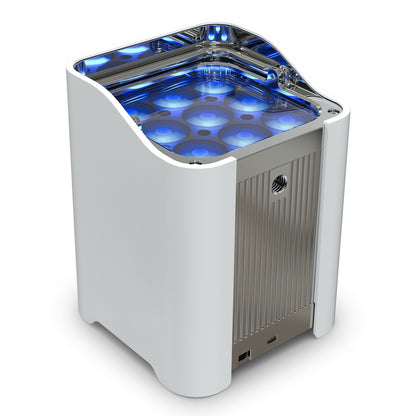 Chauvet Pro WELLFITXX6 Wireless LED Uplight Six-Pack Kit