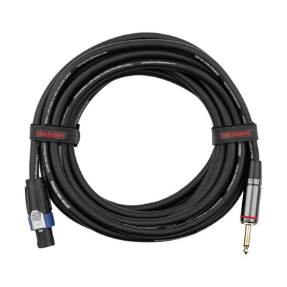Gator Cableworks TS To Twist Lock Speaker Cable | 15'