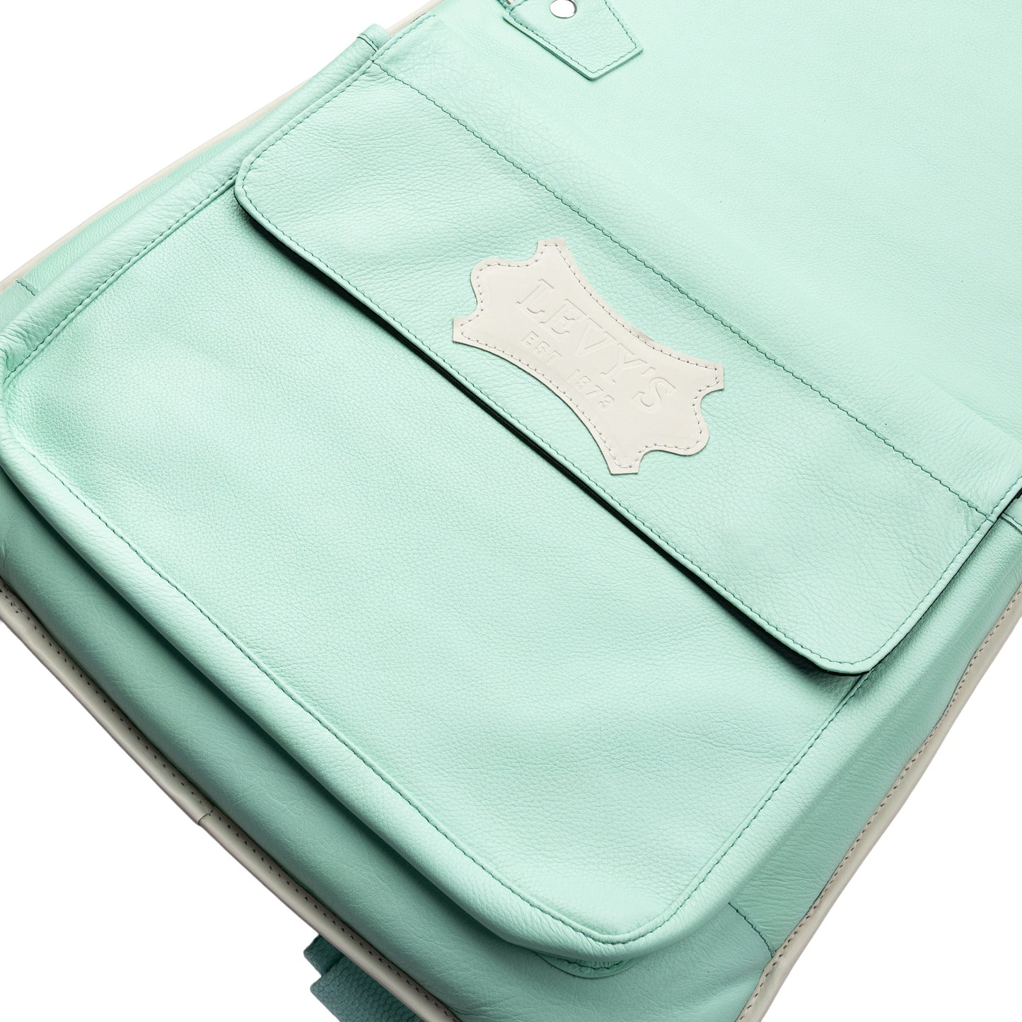 Levy's Leathers LM18CMA Chroma Leather Gig Bag | Sea Green