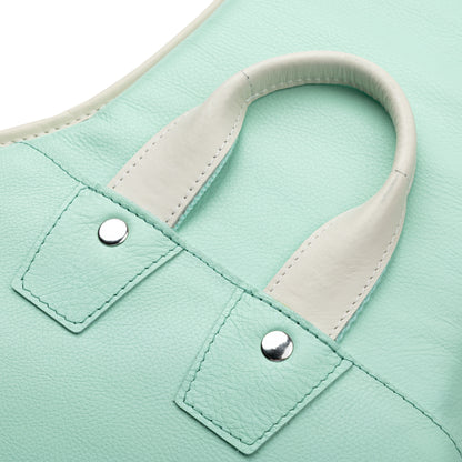 Levy's Leathers LM18CMA Chroma Leather Gig Bag | Sea Green