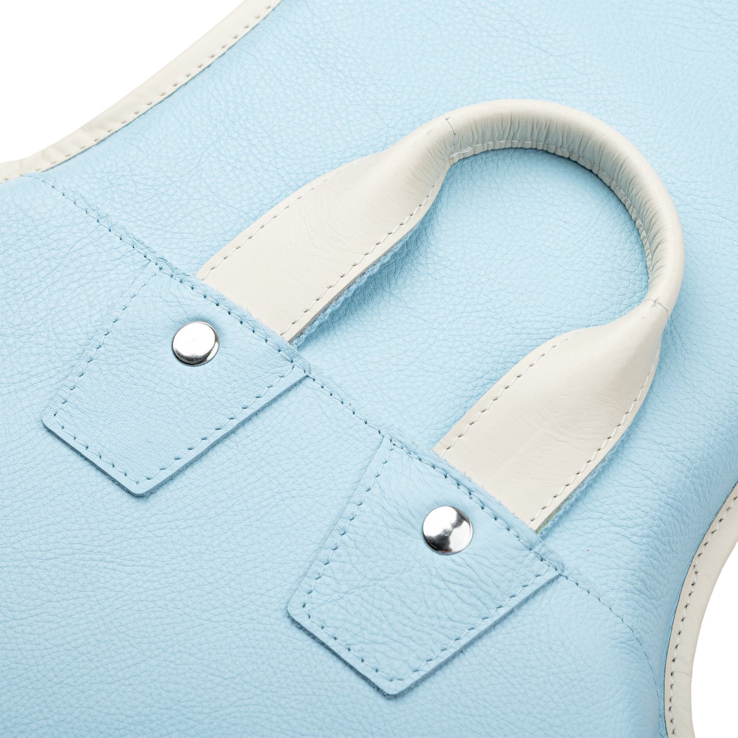 Levy's Leathers LM19CMA Chroma Leather Gig Bag | Sky Blue