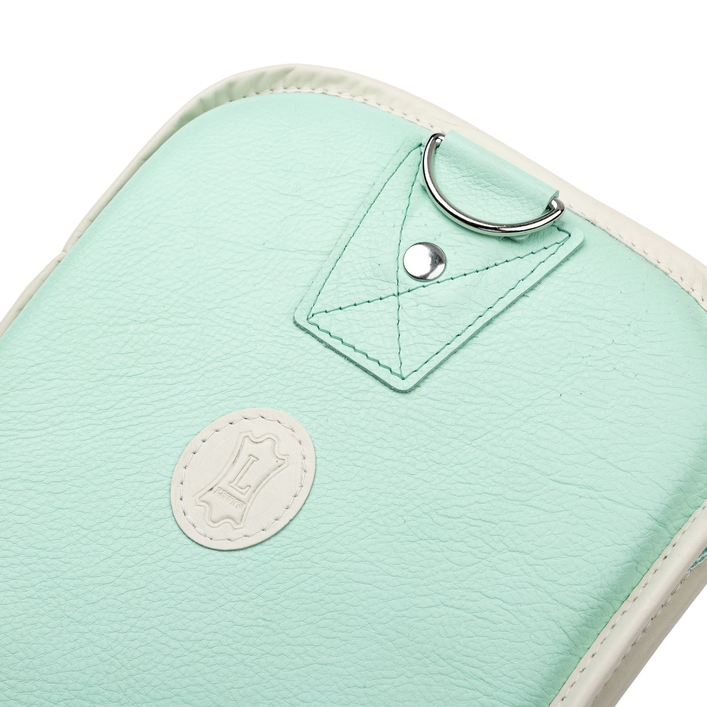 Levy's Leathers LM19CMA Chroma Leather Gig Bag | Sea Green