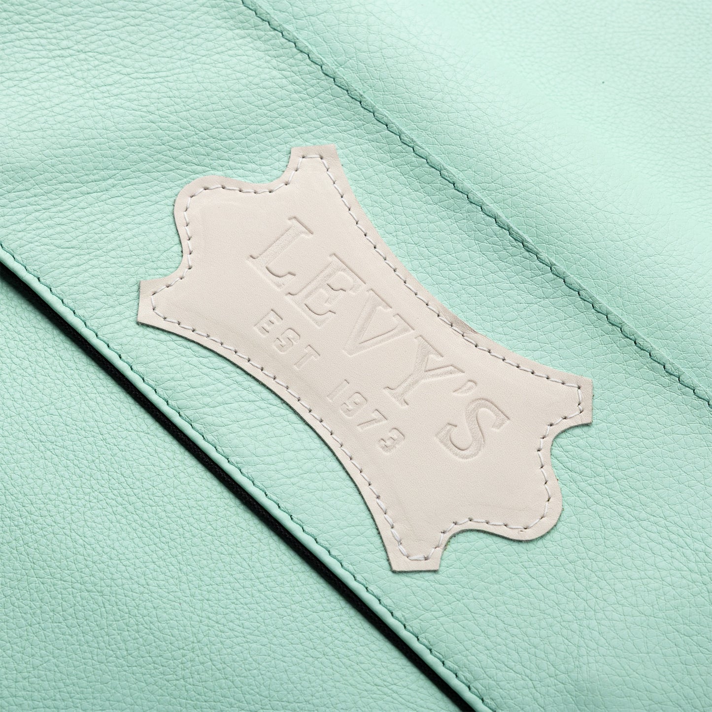 Levy's Leathers LM19CMA Chroma Leather Gig Bag | Sea Green