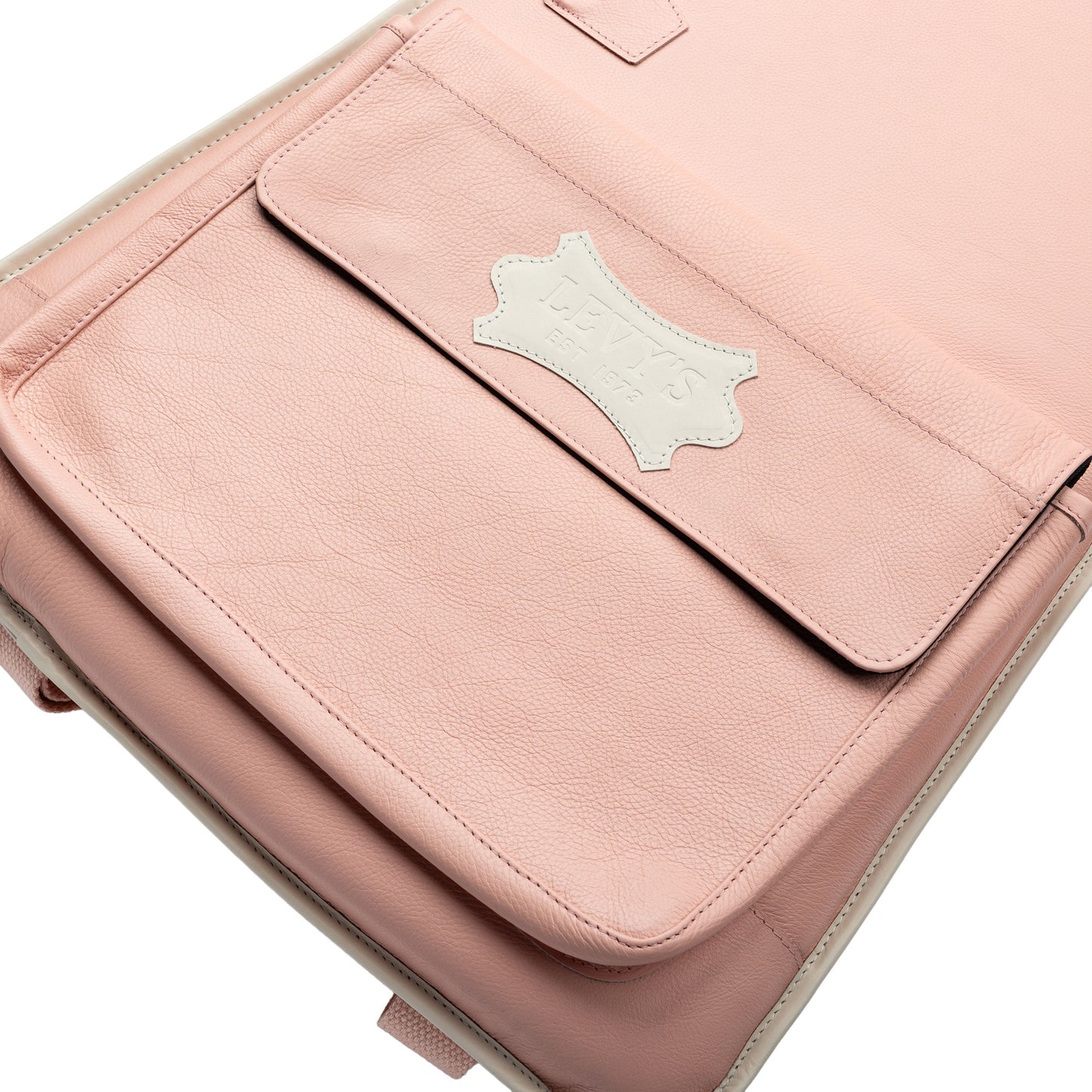 Levy's Leathers LM19CMA Chroma Leather Gig Bag | Sea Pink