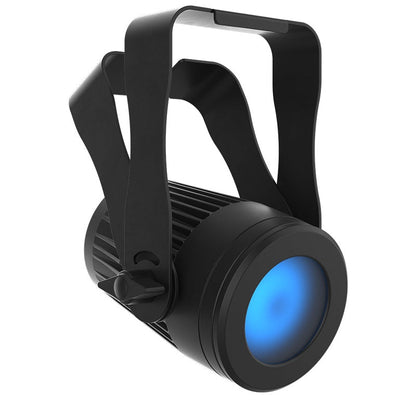 Chauvet Pro COLORdash Accent 5X IP Wash Light