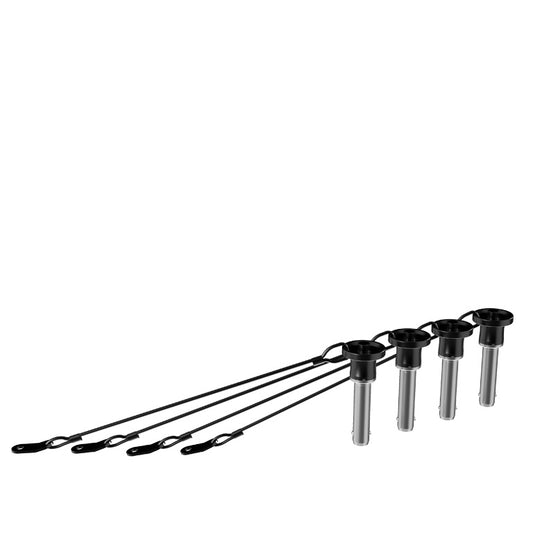 205471_RCF-QL-PIN-011-Stainless-Steel-Quick-Lock-Speaker-Pin-Kit_ALT01sqr