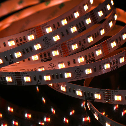 City Theatrical Eluxtra 5-in-1 LED Strip Light 24V Indoor | RGB + Amber/6500K