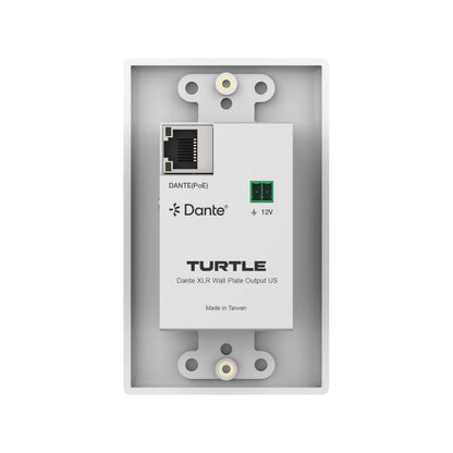 Turtle AV Dante XLR Output Wall Plate US 1-Gang Decora | White