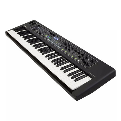 Yamaha CK61 Stage Keyboard With Built-In Speakers and Battery Power