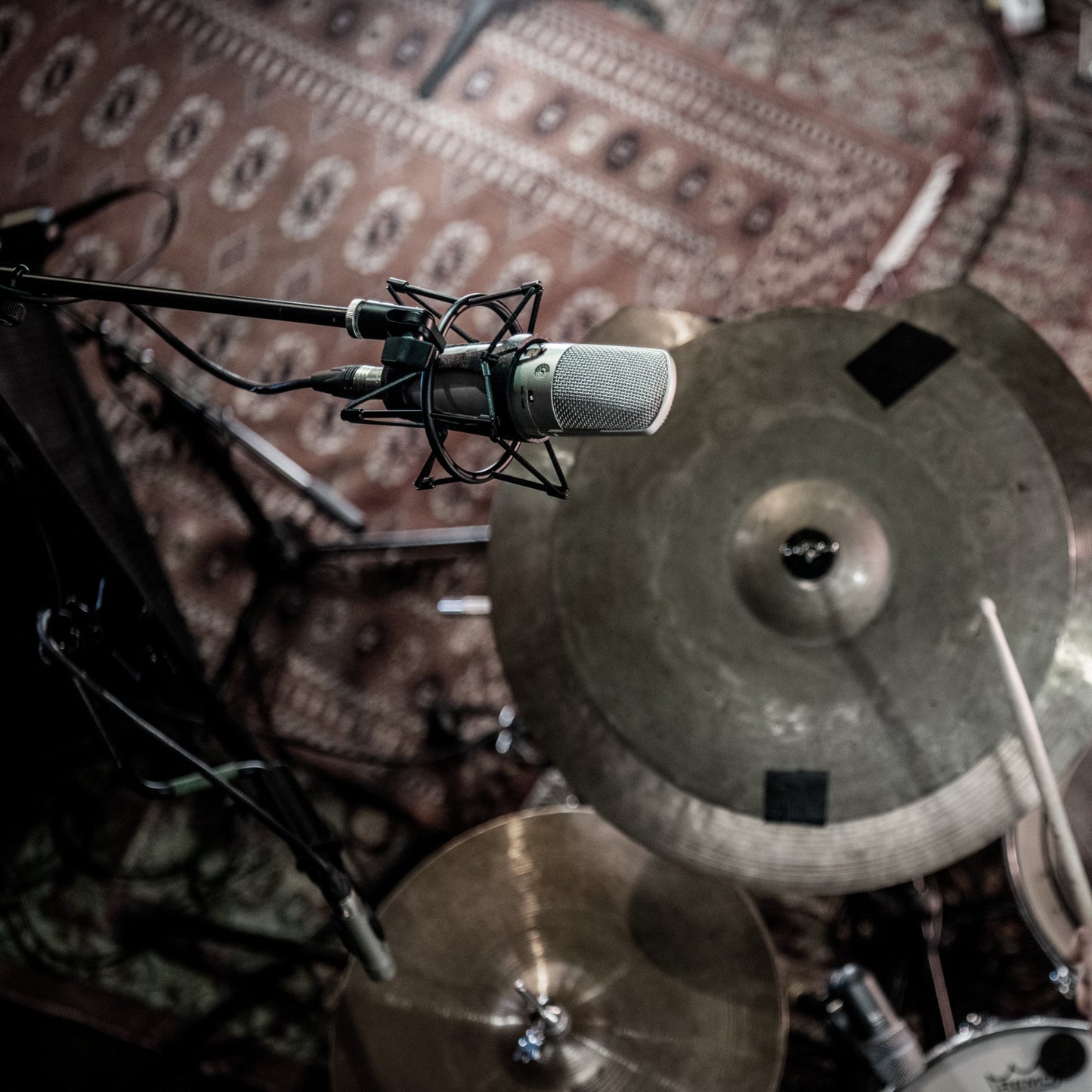 Shure KSM32 Cardioid Condenser Microphone | Color: Champagne