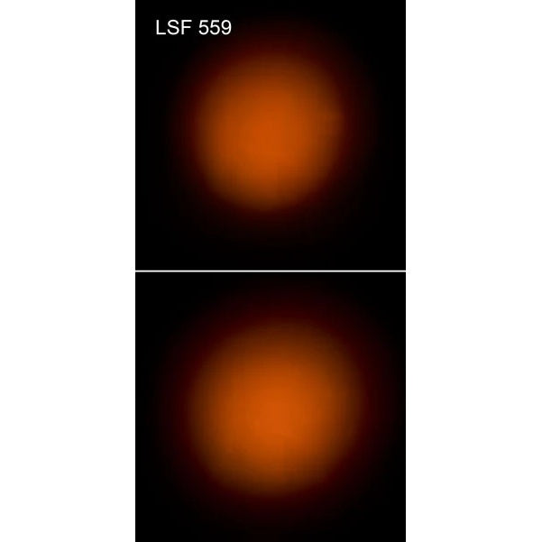 Elation LSF Filter 10 degree 20x24 Sheet