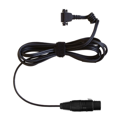 Sennheiser CABLE II-X4F Straight Copper Cable