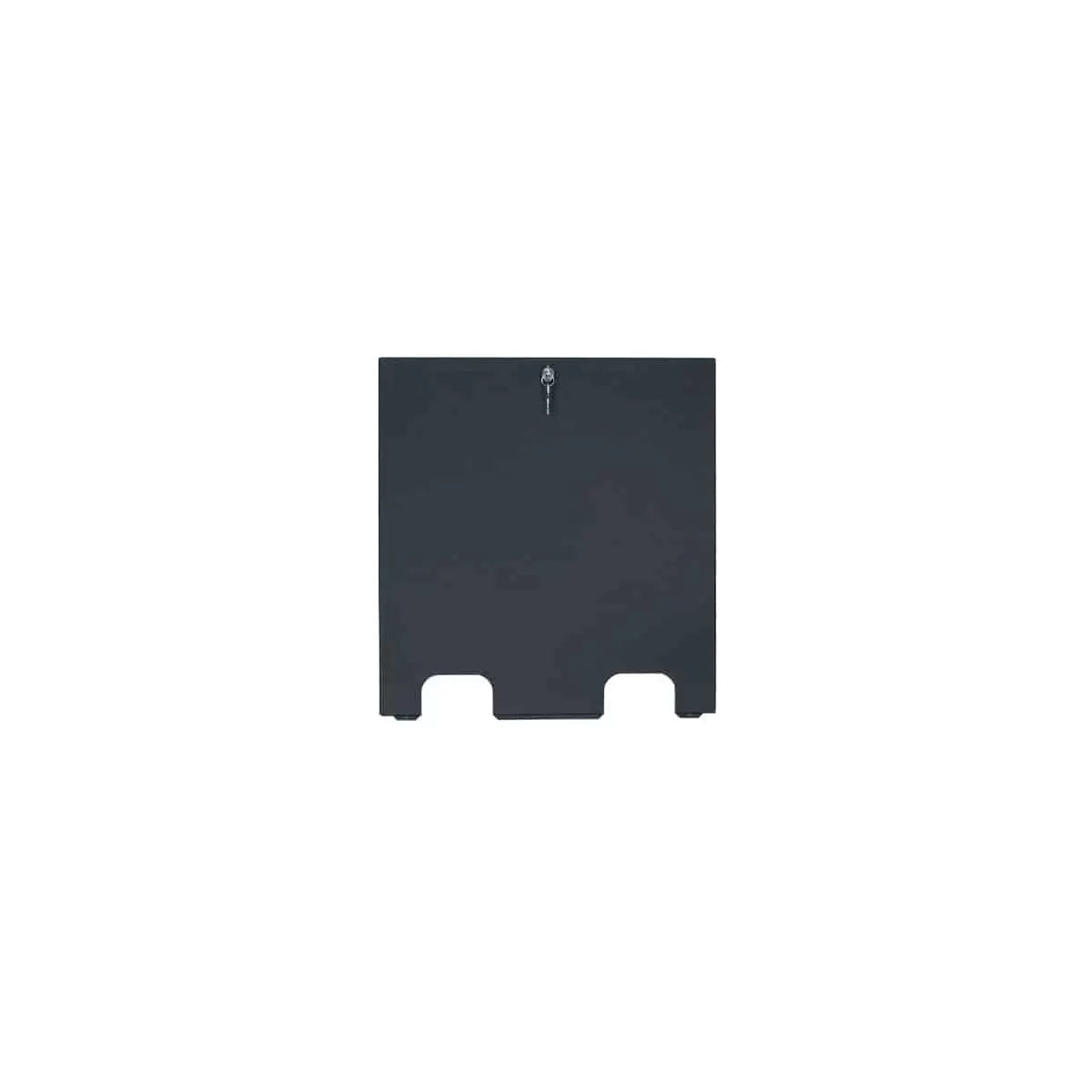 Lowell LDTR-RAC Rear Access Cover For LDTR/LDSR Rack | 7U